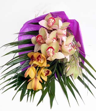  istanbul kartal iekileri iinde lider ieki firmamz sizler sayesinde bymektedir  1 adet dal orkide buket halinde sunulmakta