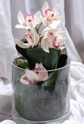  istanbul eminn 14 ubat sevgililer gn iek siparii verin mutlu edin  Cam yada mika vazo ierisinde tek dal orkide