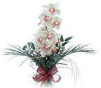  sizlerin istekleri dorultusunda zel iek tasarmlar yapyoruz  Dal orkide ithal iyi kalite