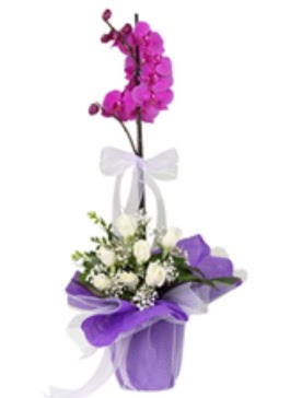 1 dal mor orkide ve 11 adet beyaz gl  istanbul kadky iin sevgilime en gzel hediye iek ve doru yerdesiniz 